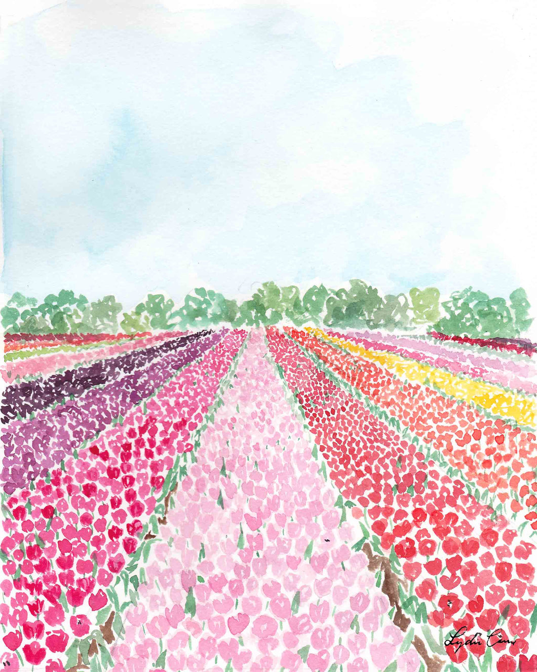 tulip fields watercolor art print