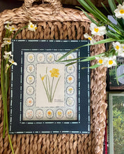 Load image into Gallery viewer, Daffodils No 2. in a Handpainted Frame