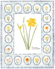 Load image into Gallery viewer, Botanical Art Print No. 3 &#39;Daffodils&#39;