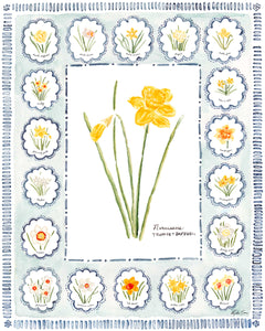 Botanical Art Print No. 3 'Daffodils'
