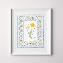 Load image into Gallery viewer, Botanical Art Print No. 3 &#39;Daffodils&#39;