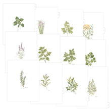 Load image into Gallery viewer, Blank Tab Dividers for Recipe Binder with Herb Design