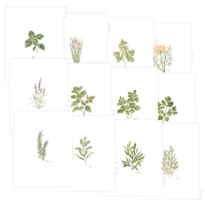 Blank Tab Dividers for Recipe Binder with Herb Design