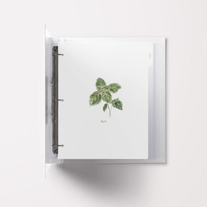 Blank Tab Dividers for Recipe Binder with Herb Design