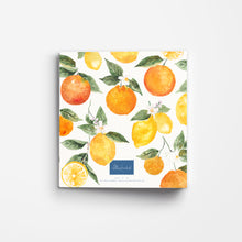 Load image into Gallery viewer, Citrus Print 3-Ring Recipe Binder