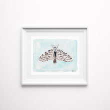 Load image into Gallery viewer, North American Moth Study Art Prints