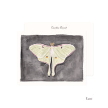 Load image into Gallery viewer, North American Moths Stationery