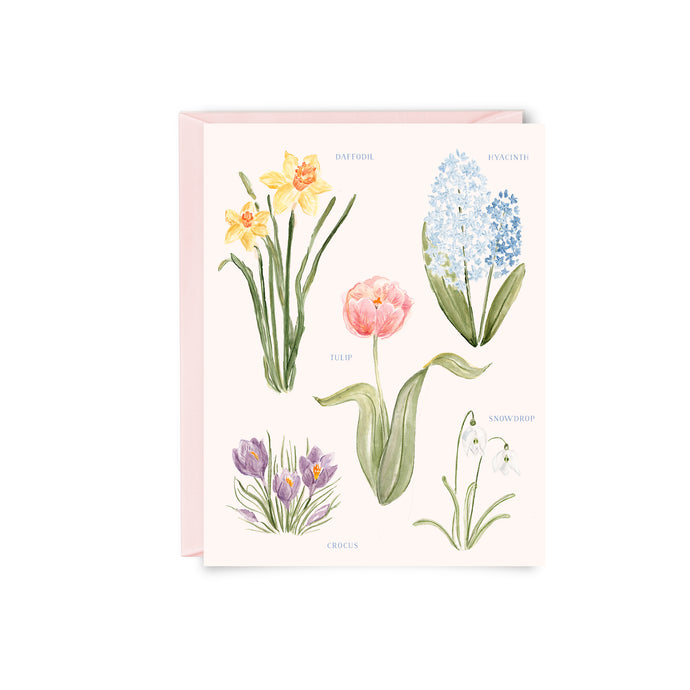 Spring Botanical Notecards